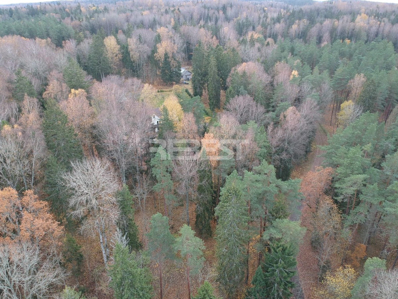 DJI_0536