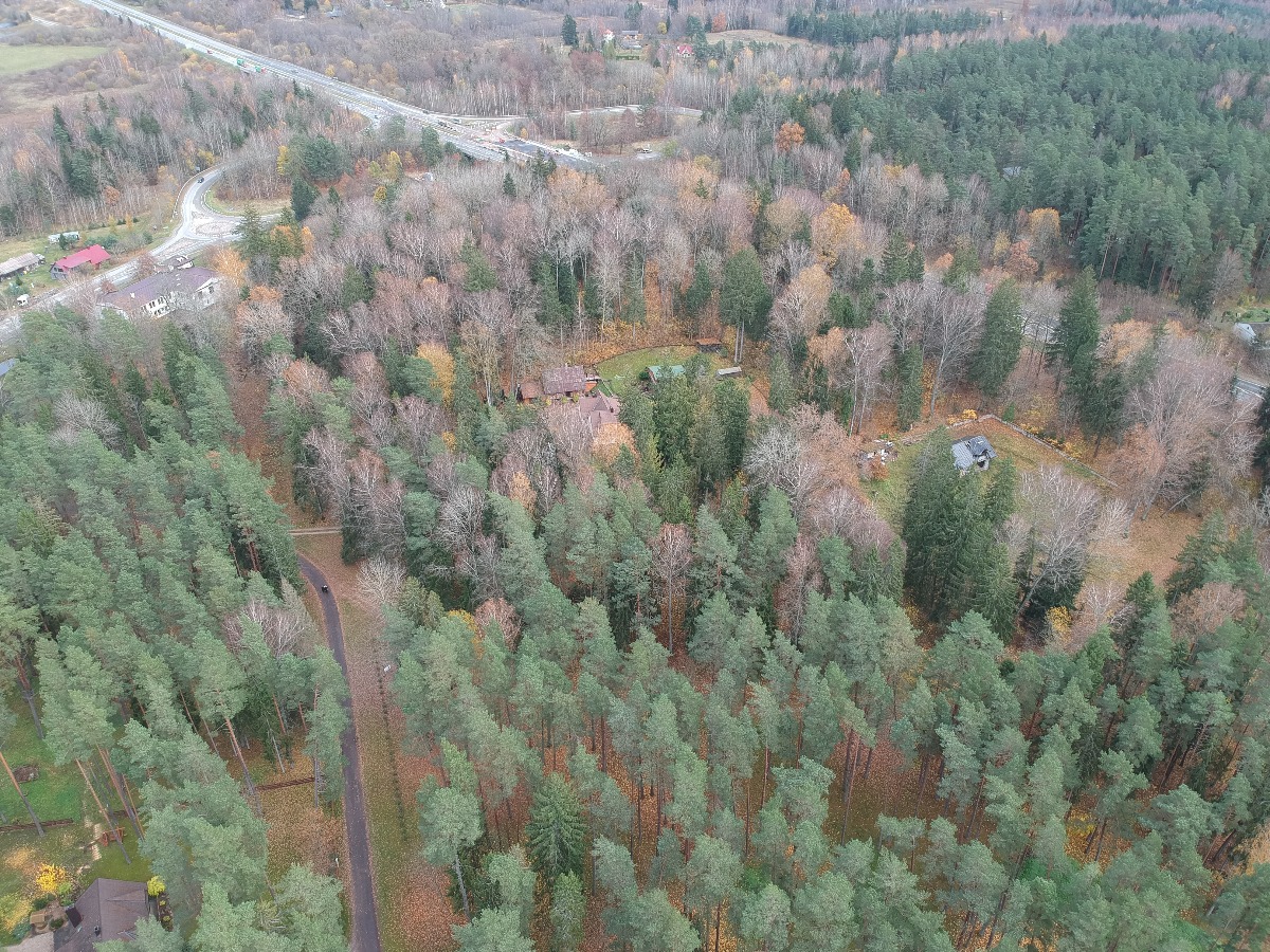 DJI_0546