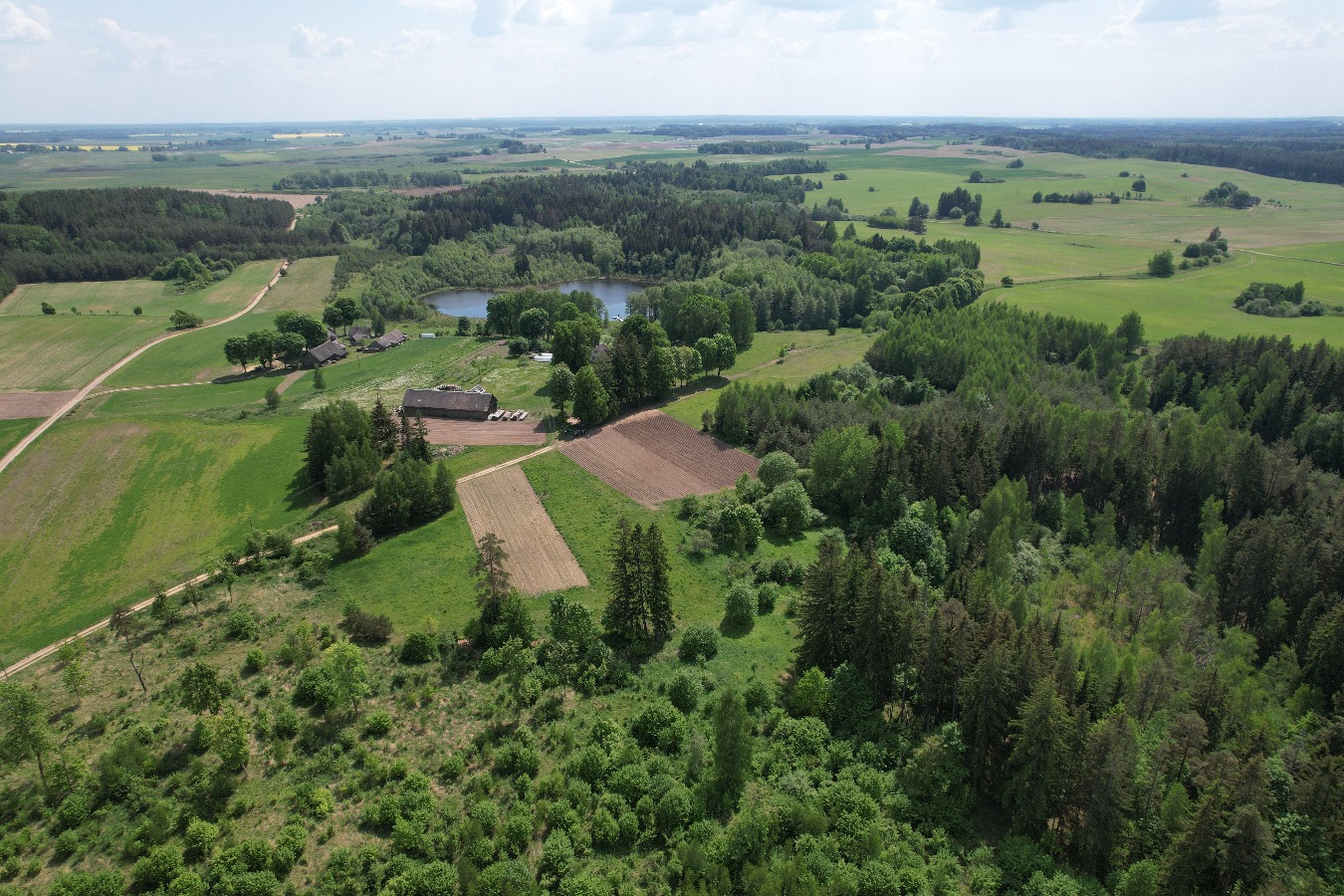 DJI_0974