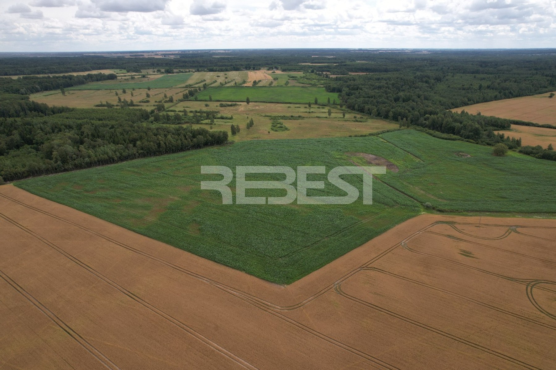 DJI_0178
