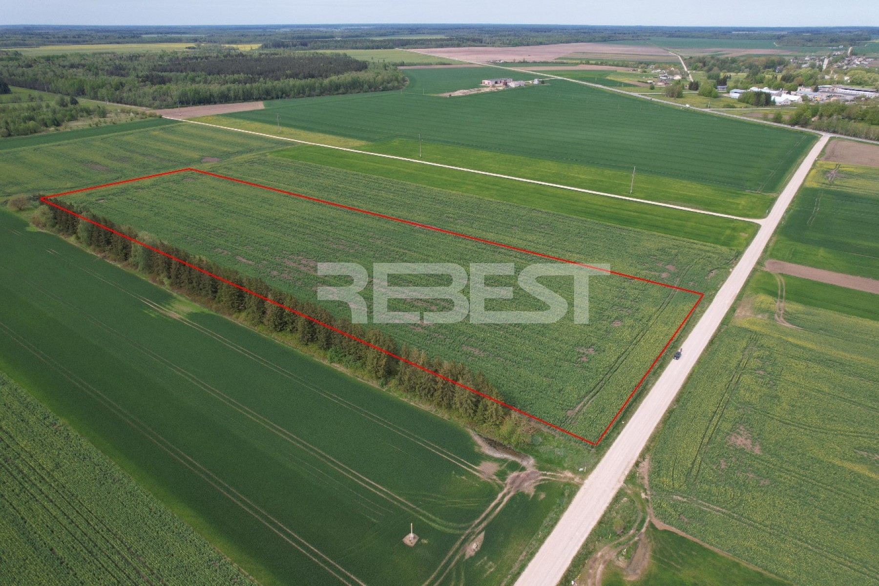 DJI_0683