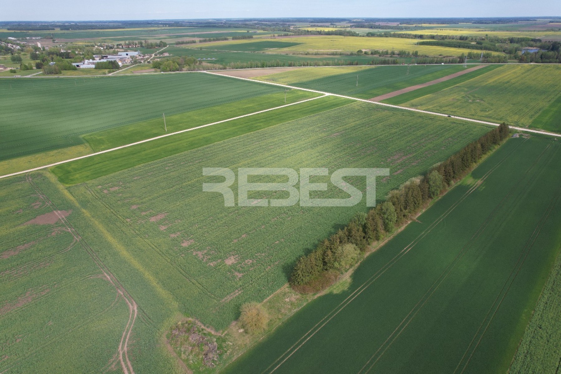 DJI_0686
