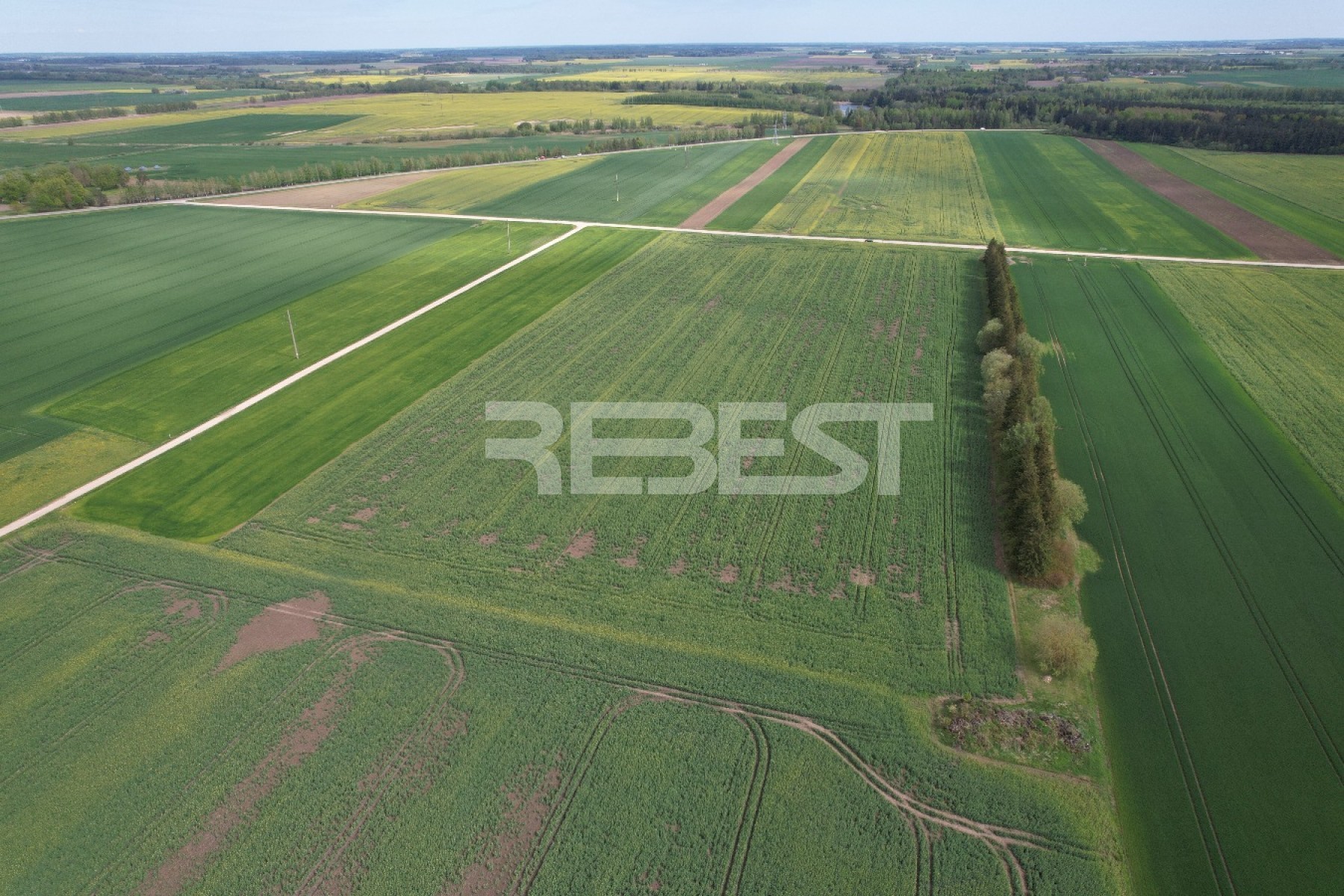 DJI_0687